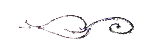 Rachel Perry logo